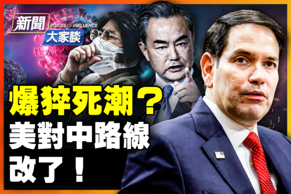 主教练安切