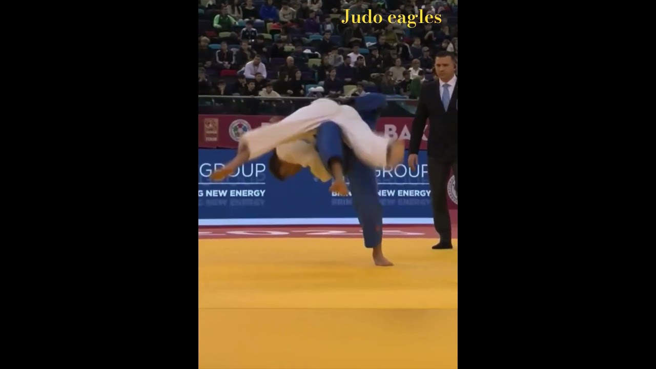 方案